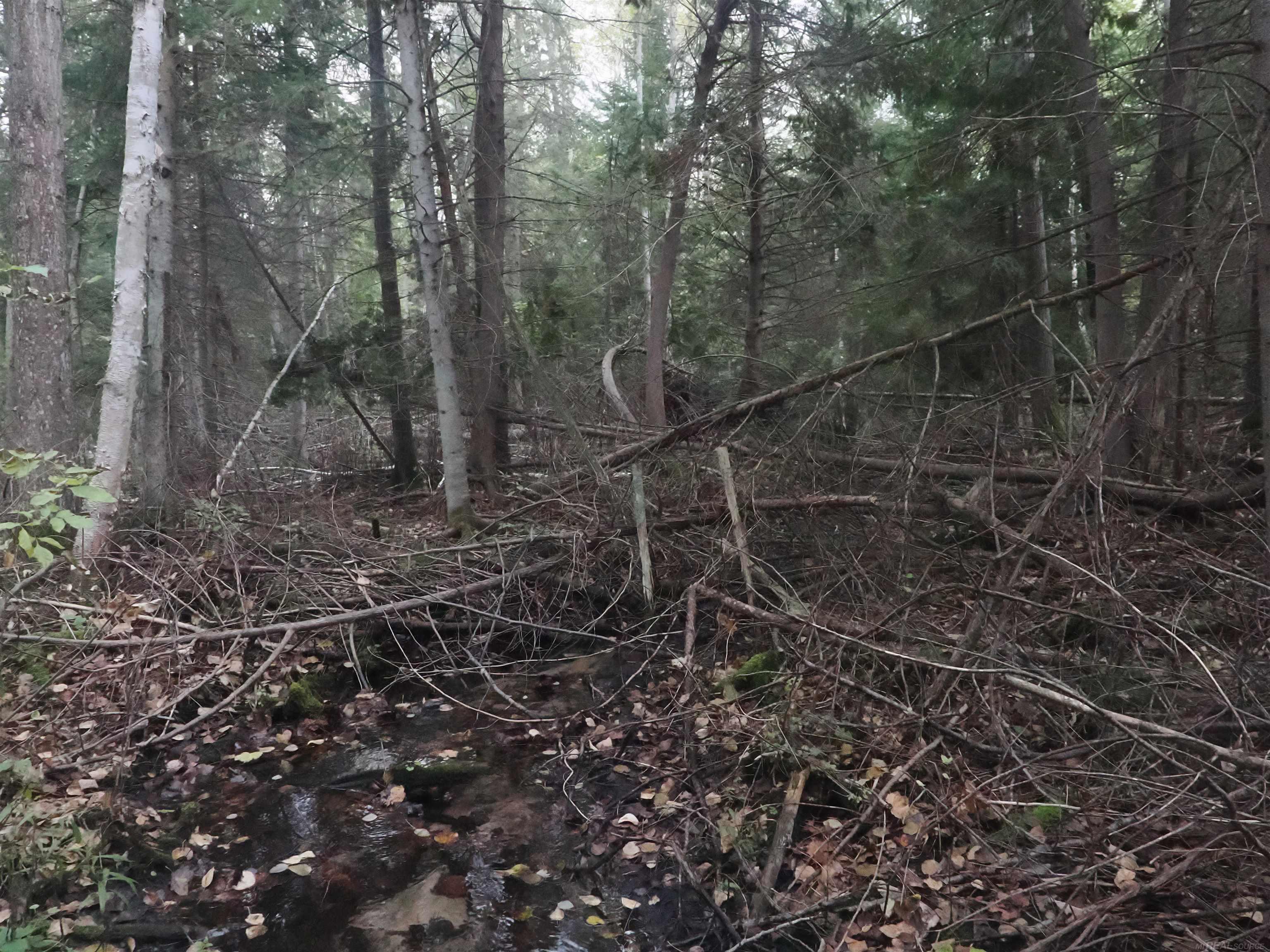 Xxx Tolan Road Spruce, MI 48762 - Photo 78 of 79