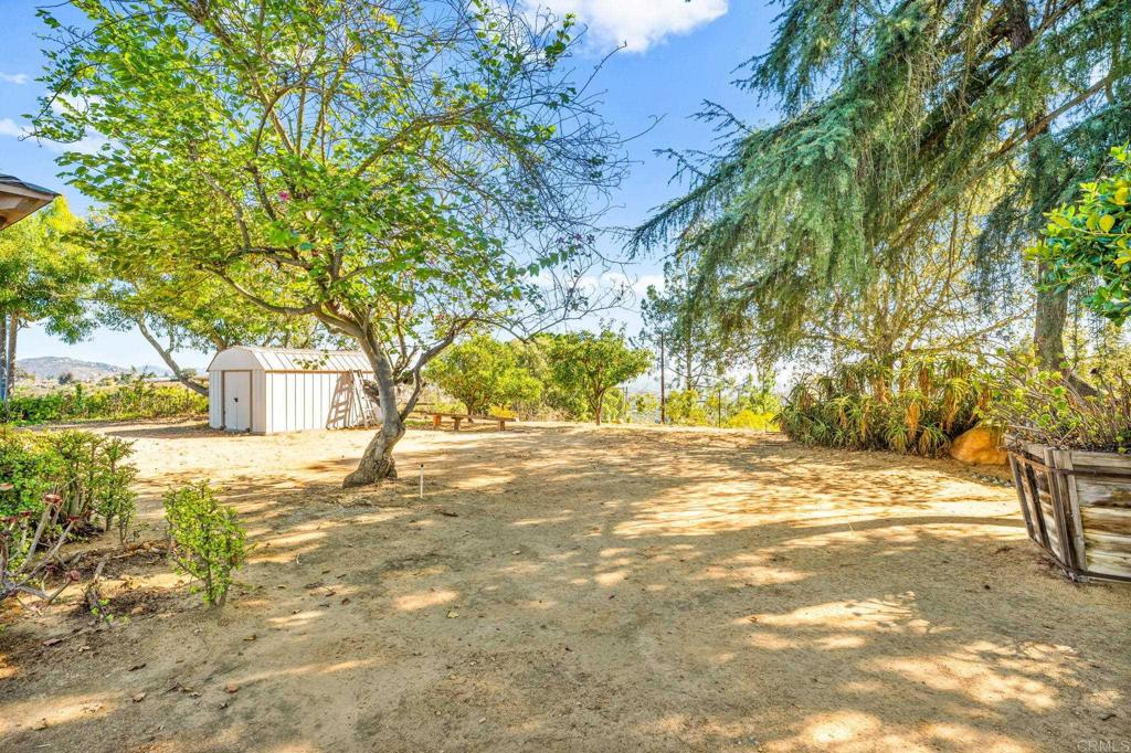 3730 Poppy Lane Fallbrook, CA 92028 - Photo 64 of 75 a view of a yard with a tree