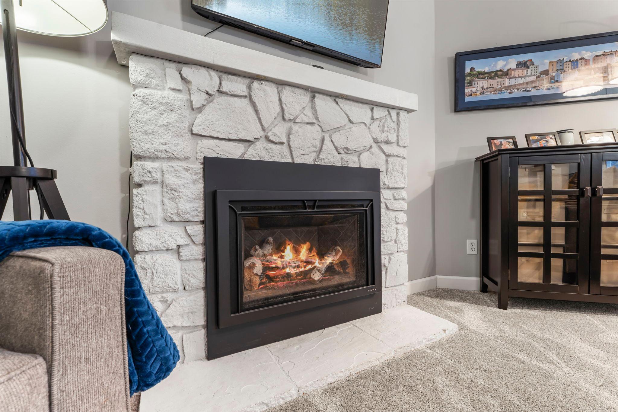 3563 Blue Jay Way, Unit 200 Eagan, MN 55123 - Photo 3 of 56