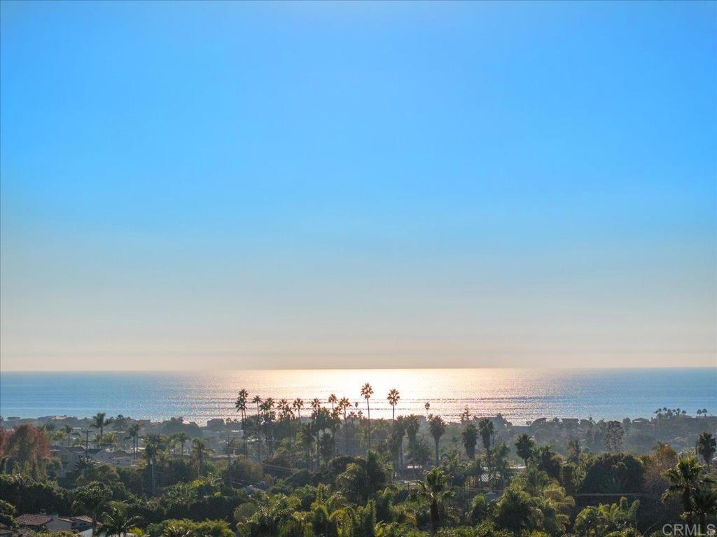 697 Ocean View Avenue Encinitas, CA 92024 - Photo 31 of 49