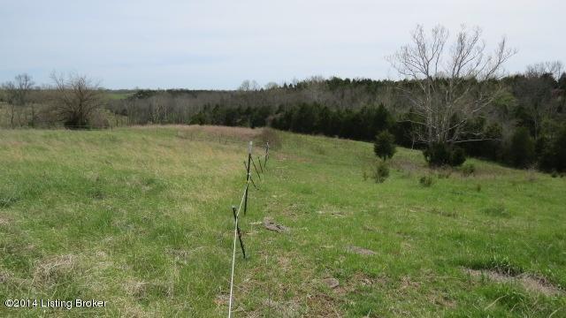 3050 Talmage-Mayo Road Salvisa, KY 40372 - Photo 32 of 45 IMG_1355