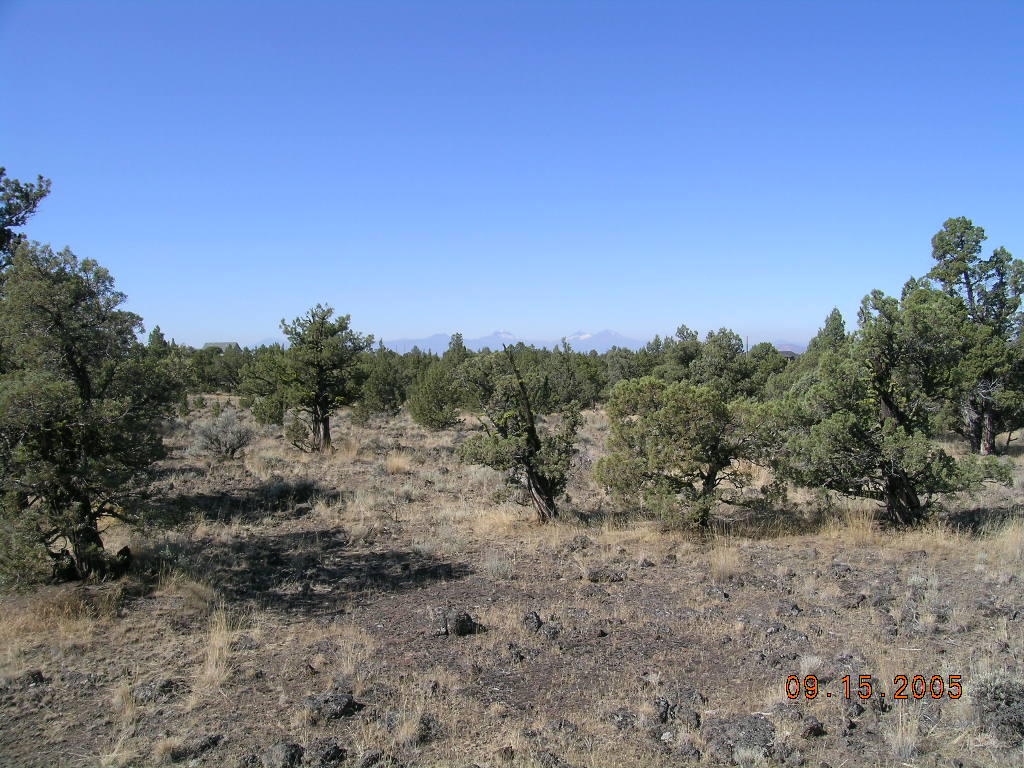 16901 Southwest Mount Adams Loop Powell Butte, OR 97753 - Photo 2 of 10 DSCN0378