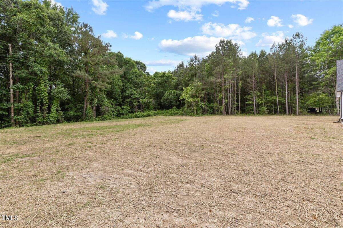 481 Mitchiner Road Franklinton, NC 27525 - Photo 52 of 52 52-481 Mitchiner Rd
