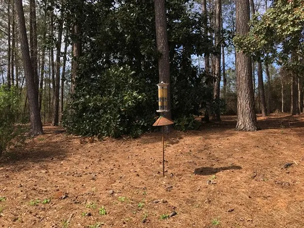 a backyard of a house with lots of green space