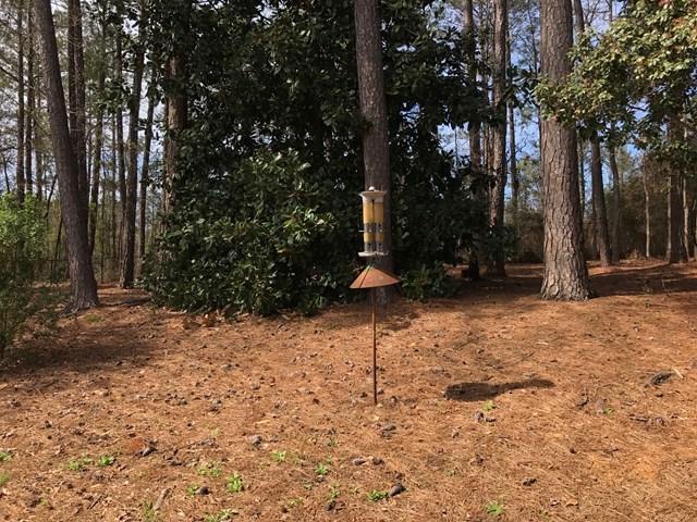 7101 Widgeon Drive Midland, GA 31820 - Photo 6 of 7 a backyard of a house with lots of green space