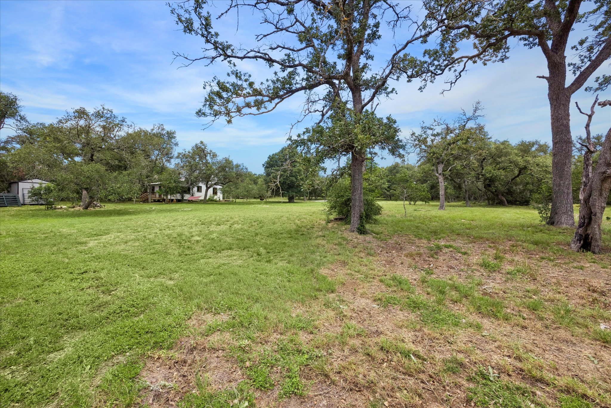 700 South Rainbow Ranch Road Wimberley, TX 78676 - Photo 26 of 29 Wildlife isn't a visitor—it's part of everyday life