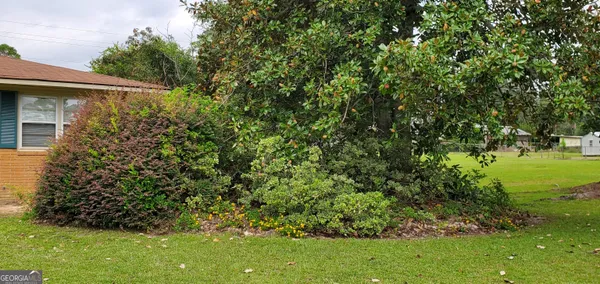 a view of a yard with plants and a tree