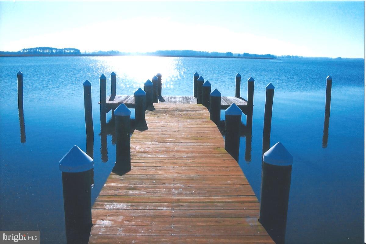 3321 Williams Point Road Marion Station, MD 21838 - Photo 1 of 20 485 t. pier on the Pocomoke River