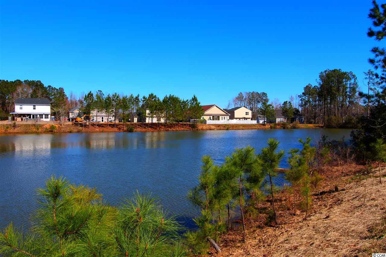 159 Winding Path Drive Loris, SC 29569 - Photo 31 of 32 Gallery Image 31