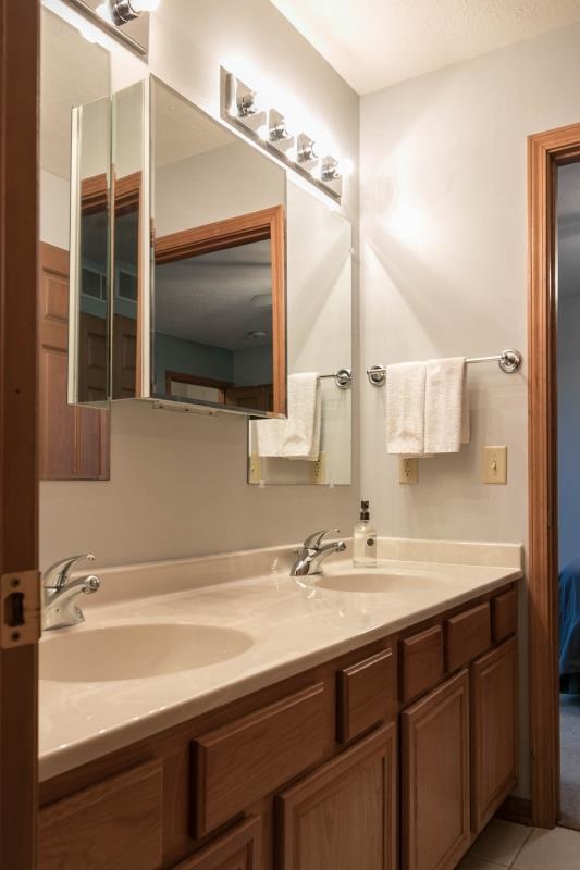 10815 Chicory Ridge Way Roscoe, IL 61073 - Photo 18 of 25 a bathroom with a sink and a mirror