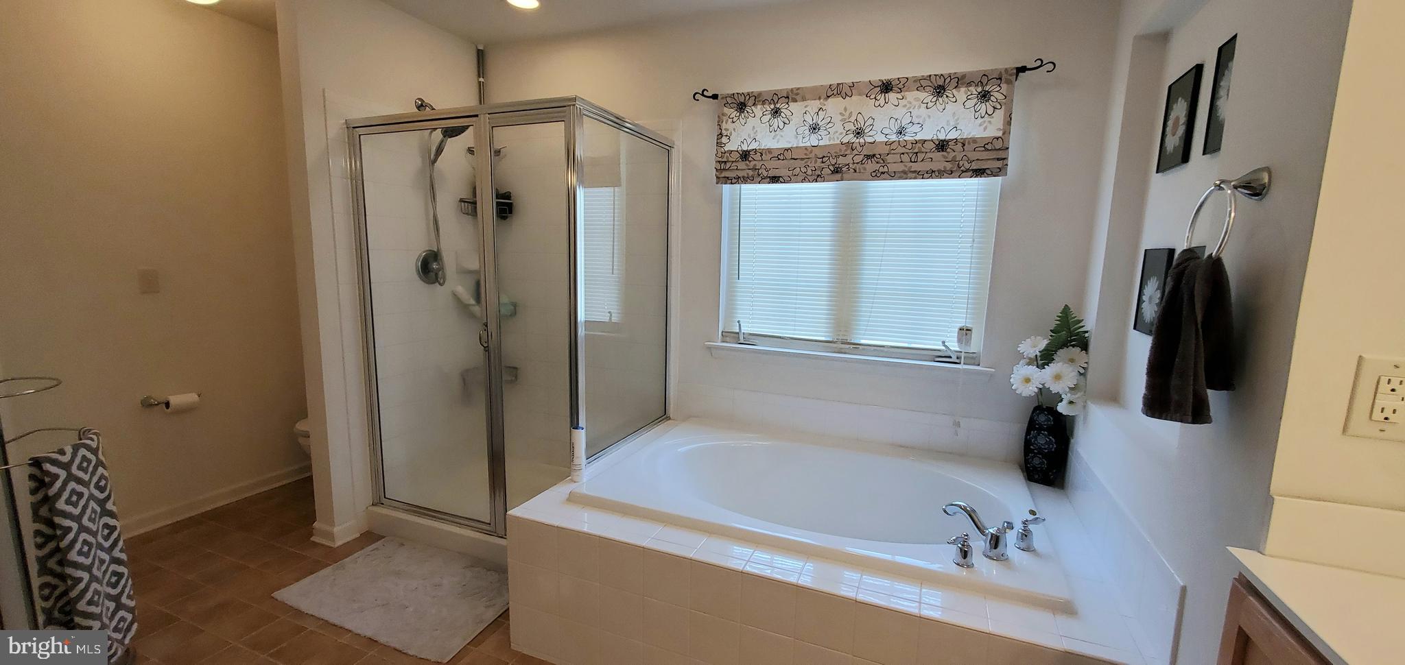 13 Bluegrass Boulevard Smyrna, DE 19977 - Photo 27 of 44 Soaking Tub & Stall Shower