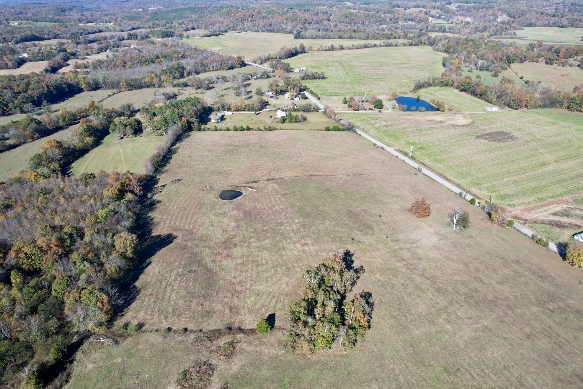 0 Henryville Road Summertown, TN 38483 - Photo 12 of 25