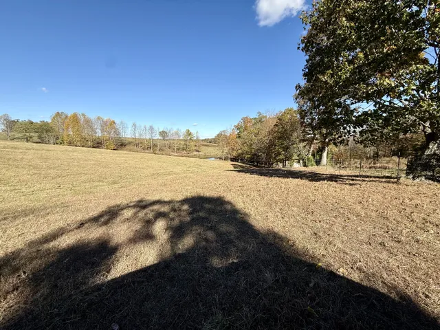 a view of a lake from a yard