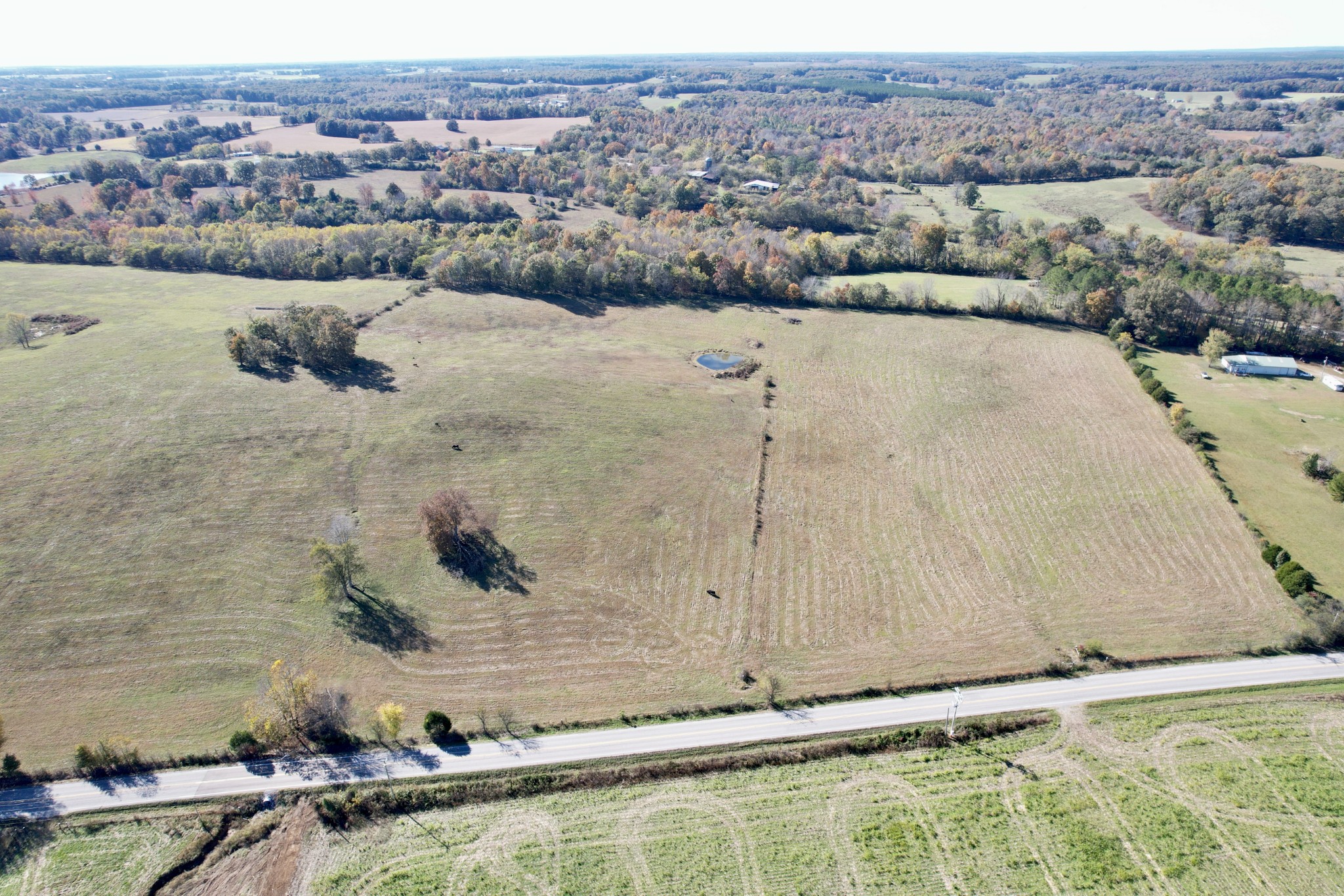 0 Henryville Road Summertown, TN 38483 - Photo 3 of 25 a view of a terrace view