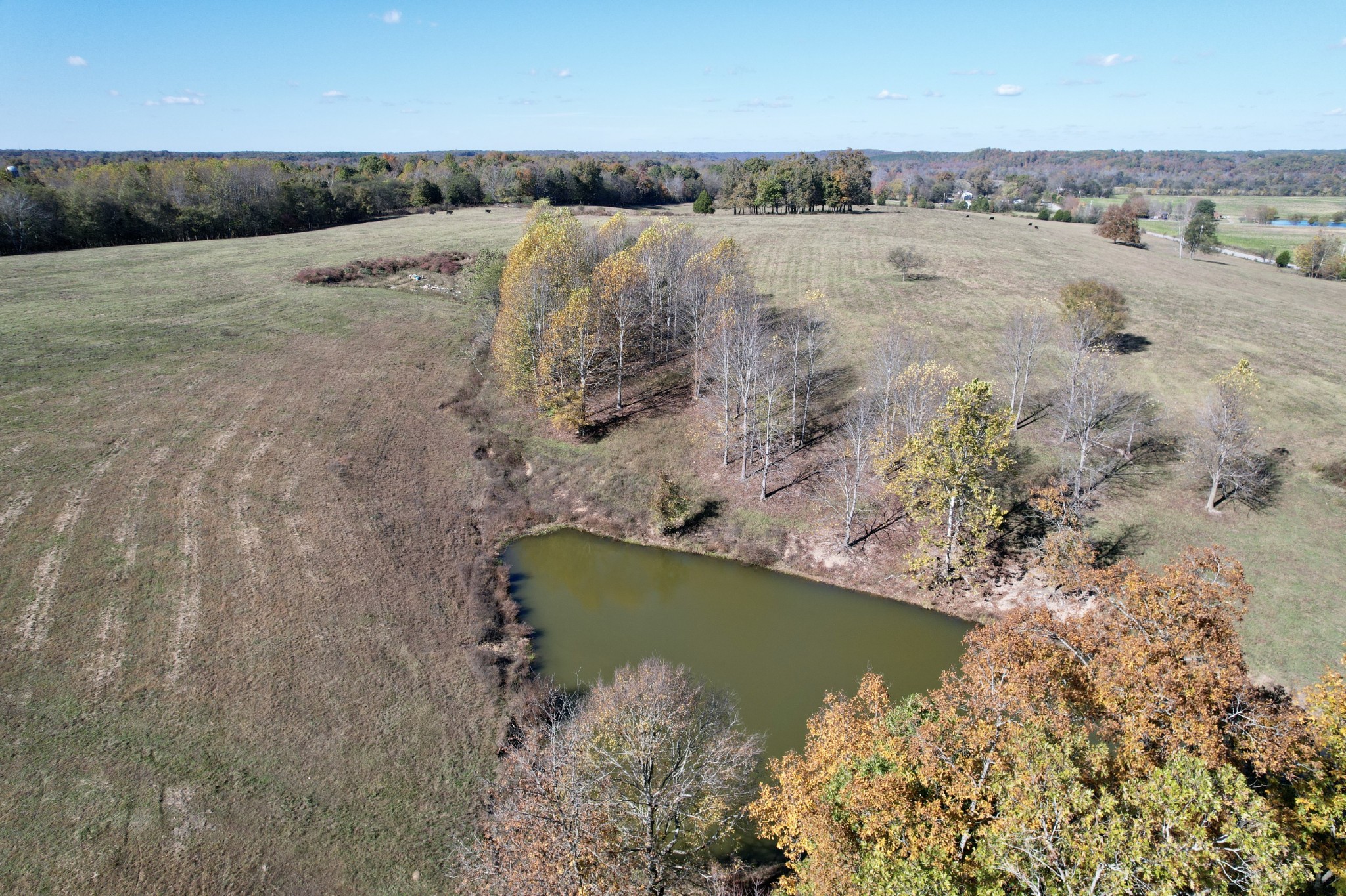 0 Henryville Road Summertown, TN 38483 - Photo 7 of 25 a view of a lake with outdoor space