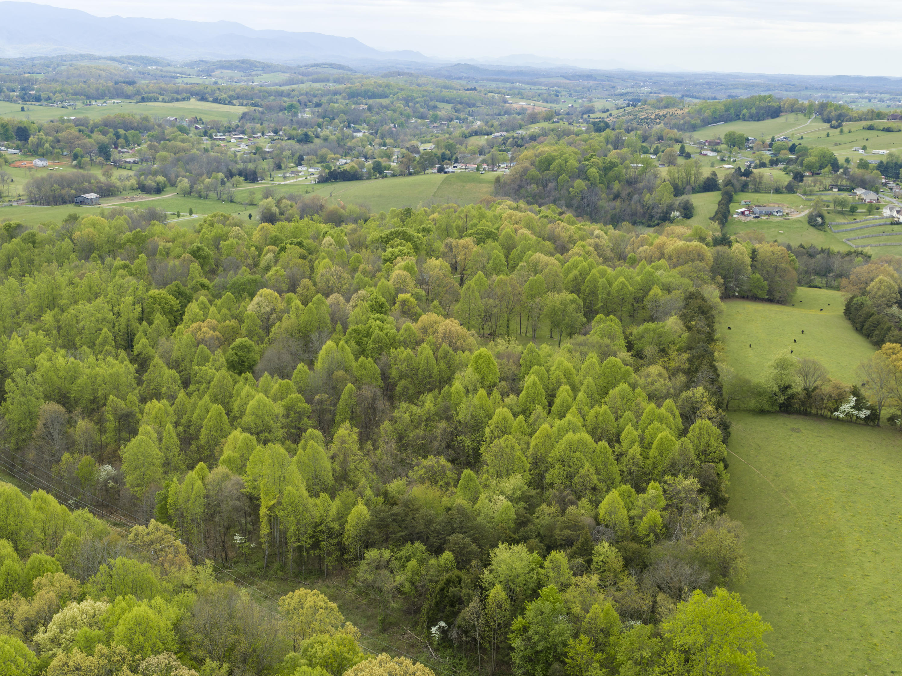 152 John Howze Road Jonesborough, TN 37659 - Photo 86 of 105 HowzeAerials--12
