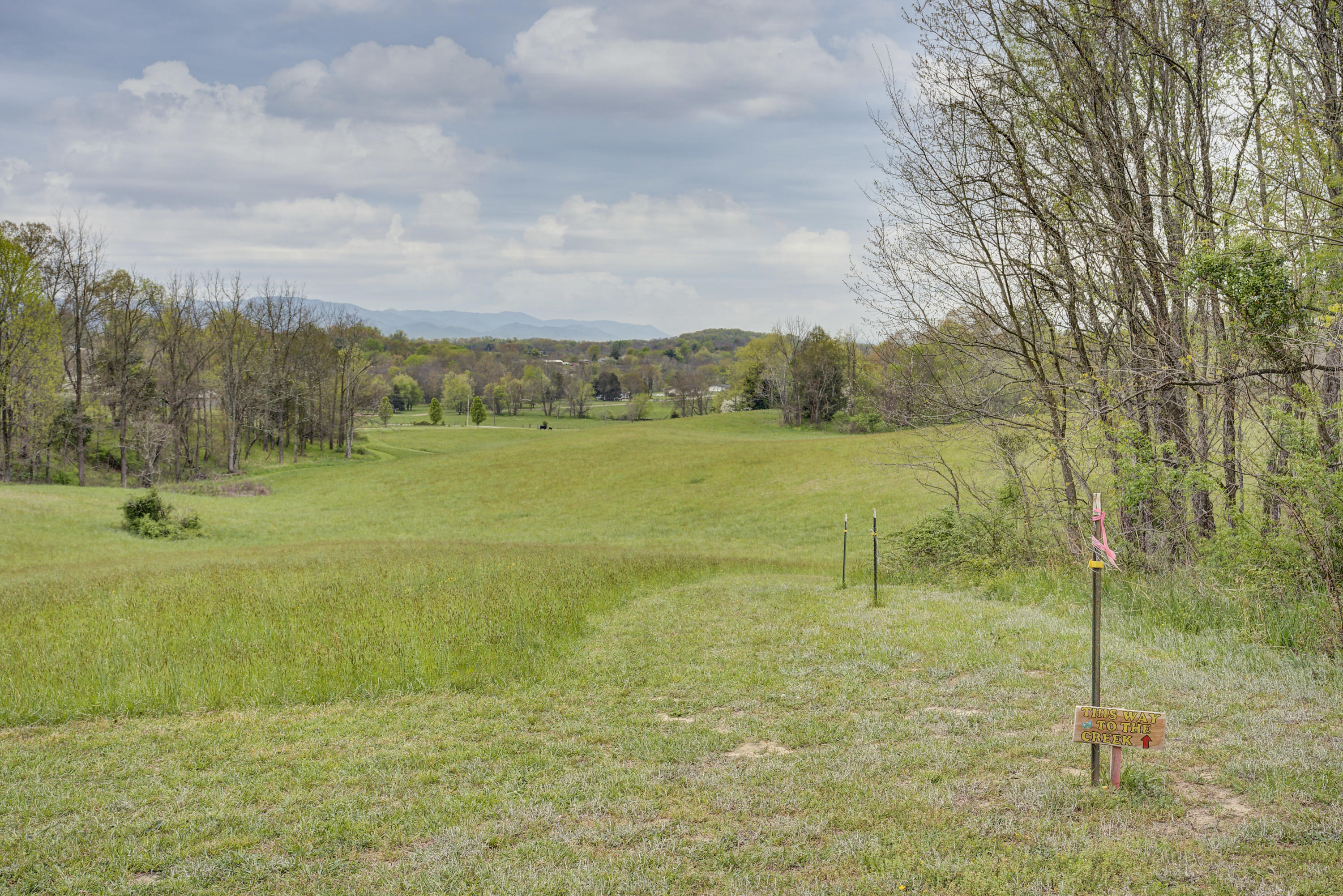 152 John Howze Road Jonesborough, TN 37659 - Photo 90 of 105 HowzeLAND--40