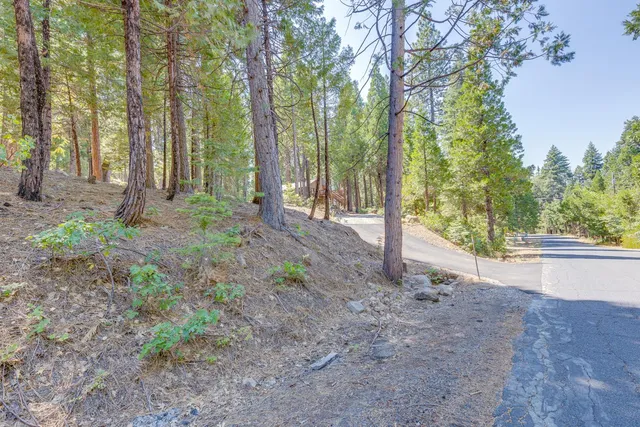 $58,000 | 1694 Shoshone Drive, Unit 7/LOT 31, Arnold, CA 95223