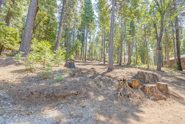 $58,000 | 1694 Shoshone Drive, Unit 7/LOT 31, Arnold, CA 95223