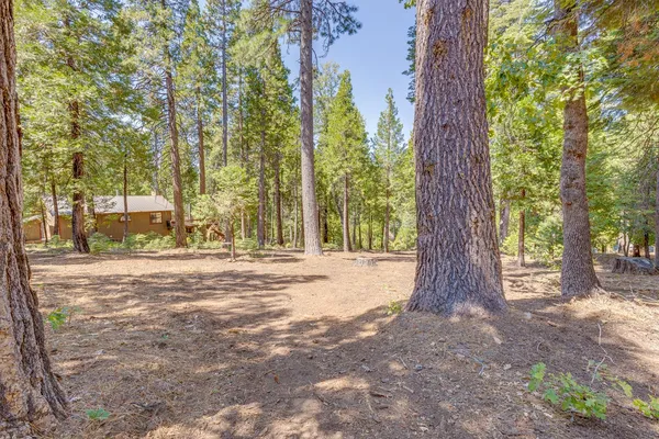 a view of a yard with trees