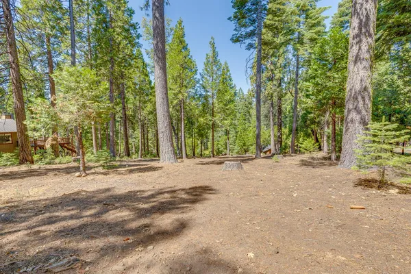 a view of a house with large trees and plants