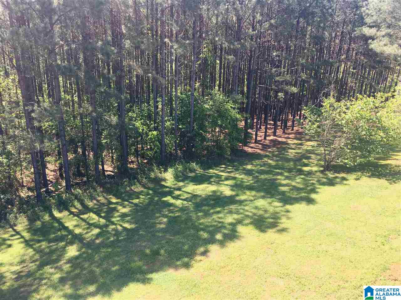 7290 Old Acton Road Moody, AL 35004 - Photo 48 of 48