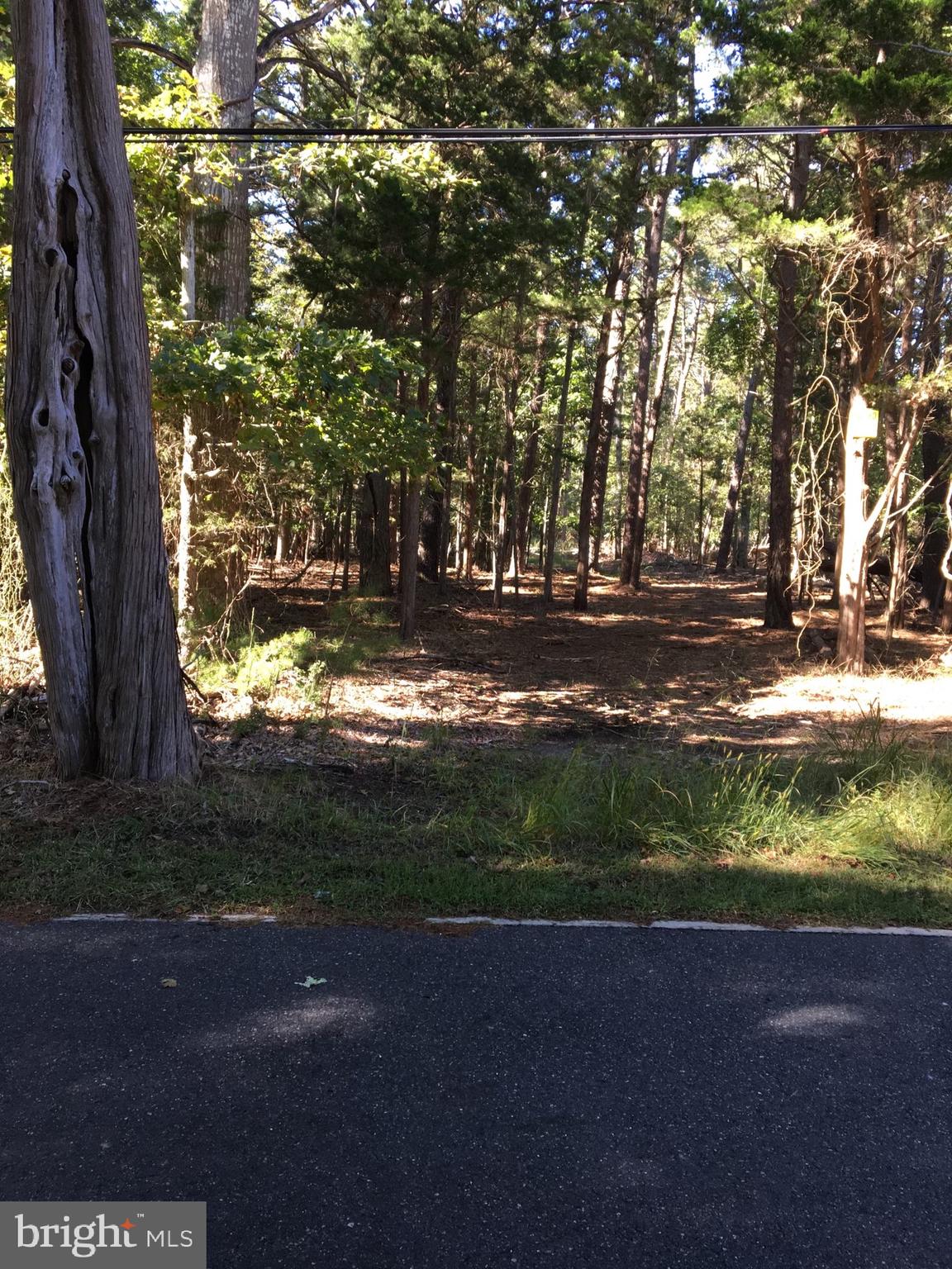 0 West Road Branson, MO 65616 - Photo 2 of 3