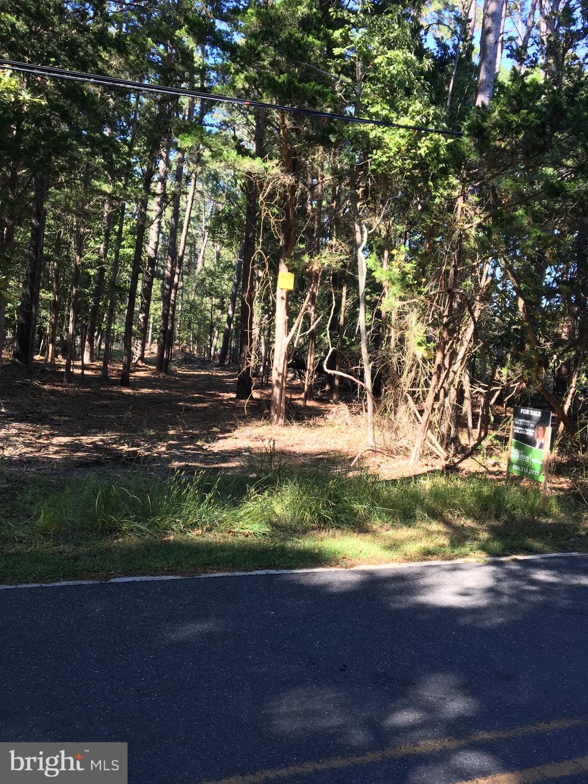 0 West Road Branson, MO 65616 - Photo 3 of 3