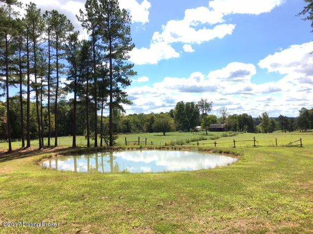 1890 Walnut Grove Road Caneyville, KY 42721 - Photo 15 of 28 15