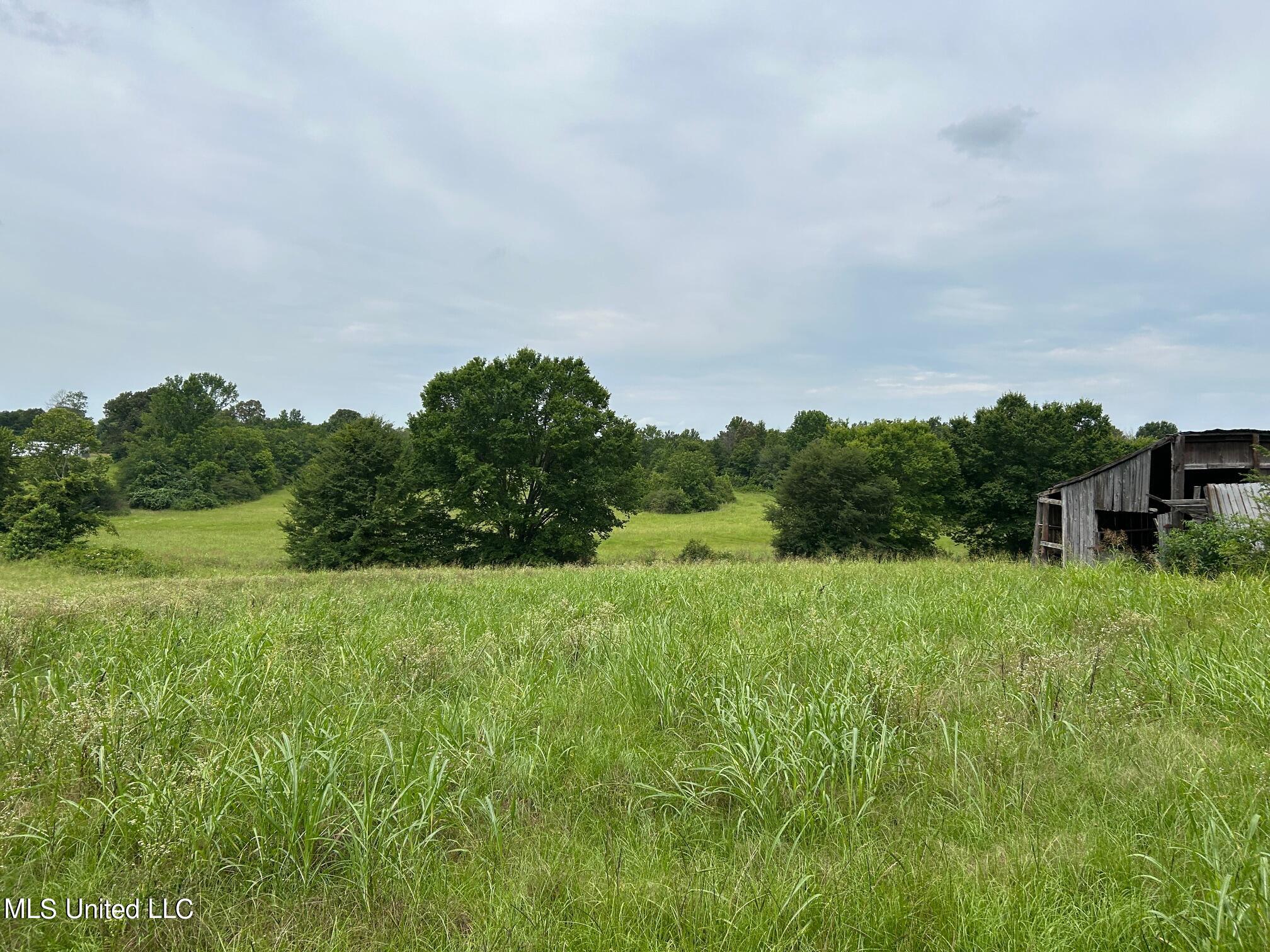 2 Sycamore Road Coldwater, MS 38618 - Photo 1 of 3 Land