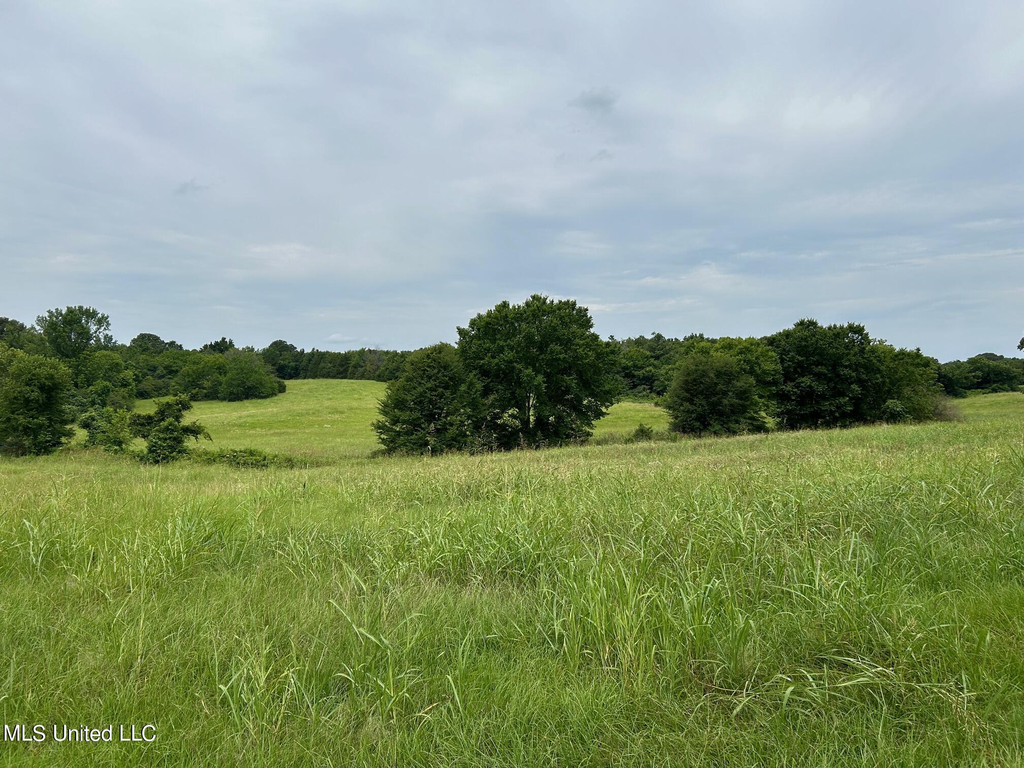 2 Sycamore Road Coldwater, MS 38618 - Photo 2 of 3 IMG_4957