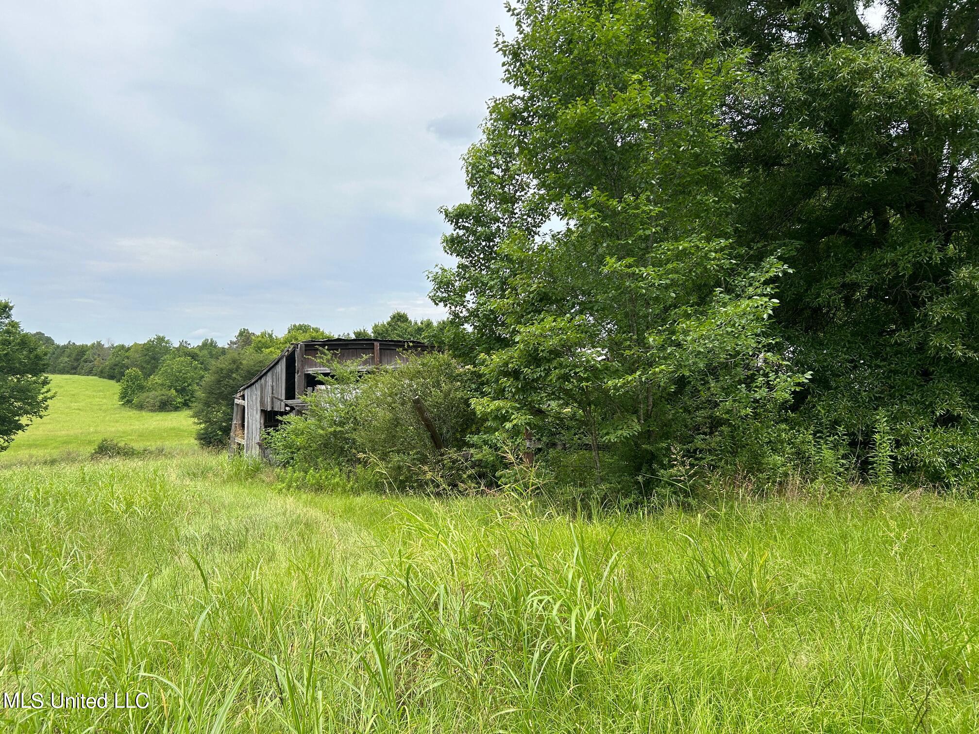2 Sycamore Road Coldwater, MS 38618 - Photo 3 of 3 IMG_4960