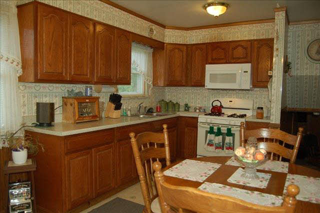 6195 Wells Road Petersburg, MI 49270 - Photo 6 of 12 KITCHEN
