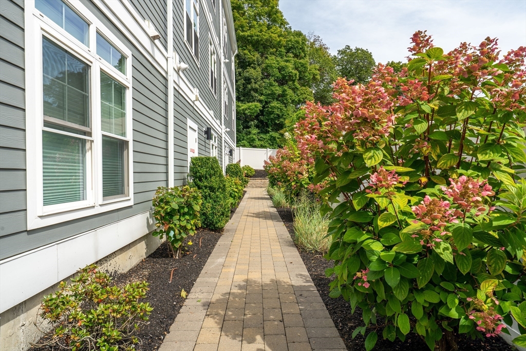 315 College Farm Road, Unit 1 Waltham, MA 02451 - Photo 12 of 15 Gallery Image 12