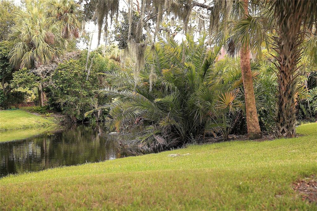 4572 Red Maple, Unit 901 Bradenton, FL 34210 - Photo 28 of 30 a view of swimming pool and lake