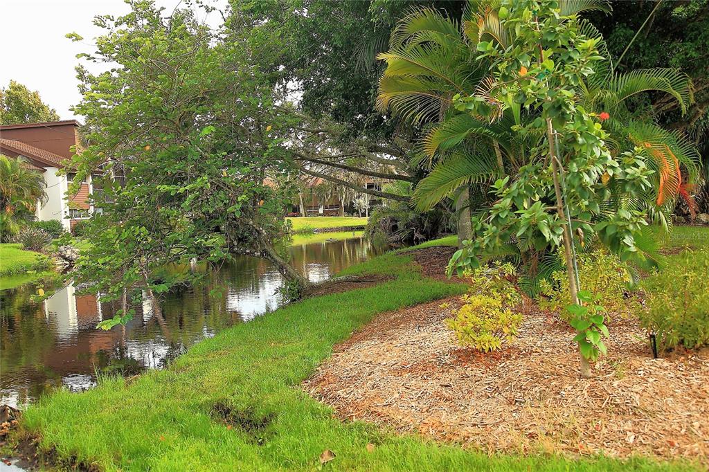 4572 Red Maple, Unit 901 Bradenton, FL 34210 - Photo 30 of 30 a view of a yard with plants and a fountain
