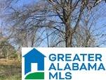 0 Tingle Cutoff Road Dora, AL 35062 - Photo 1 of 1