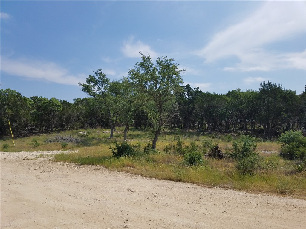 a view of outdoor space with city view