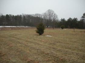 Lot 37 Thunder Ridge Road Huddleston, VA 24104 - Photo 2 of 5 Both lots1