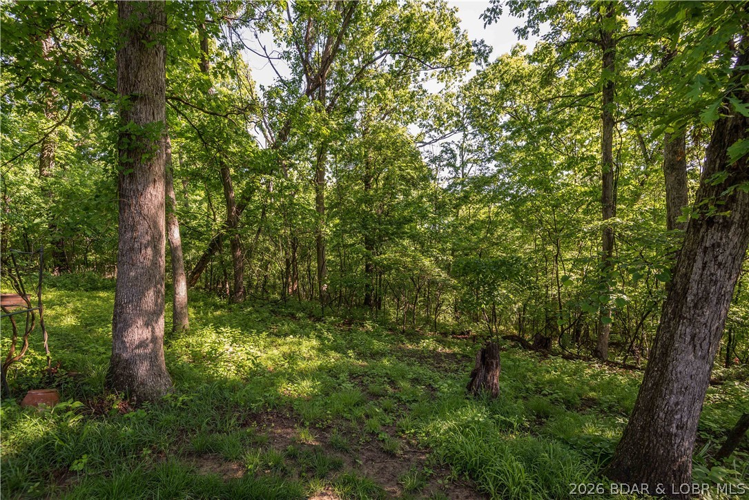 330 Cannondale Road Jefferson City, MO 65109 - Photo 32 of 100