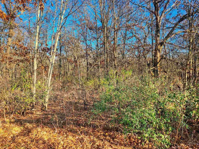 a close up of a plant with a plant