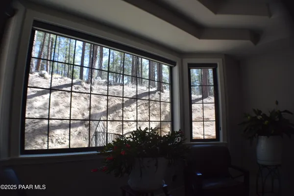 a view of a forest with lots of trees