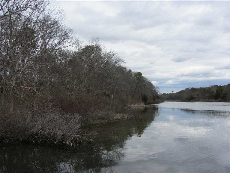 62 Rivers Edge Road East Falmouth, MA 02536 - Photo 3 of 9 Additional Photo
