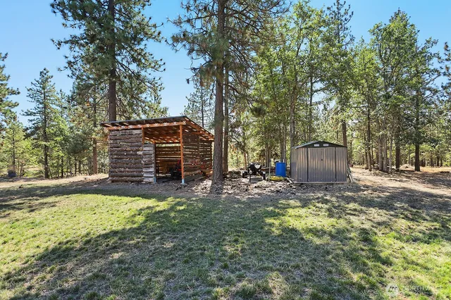 a view of yard with tree