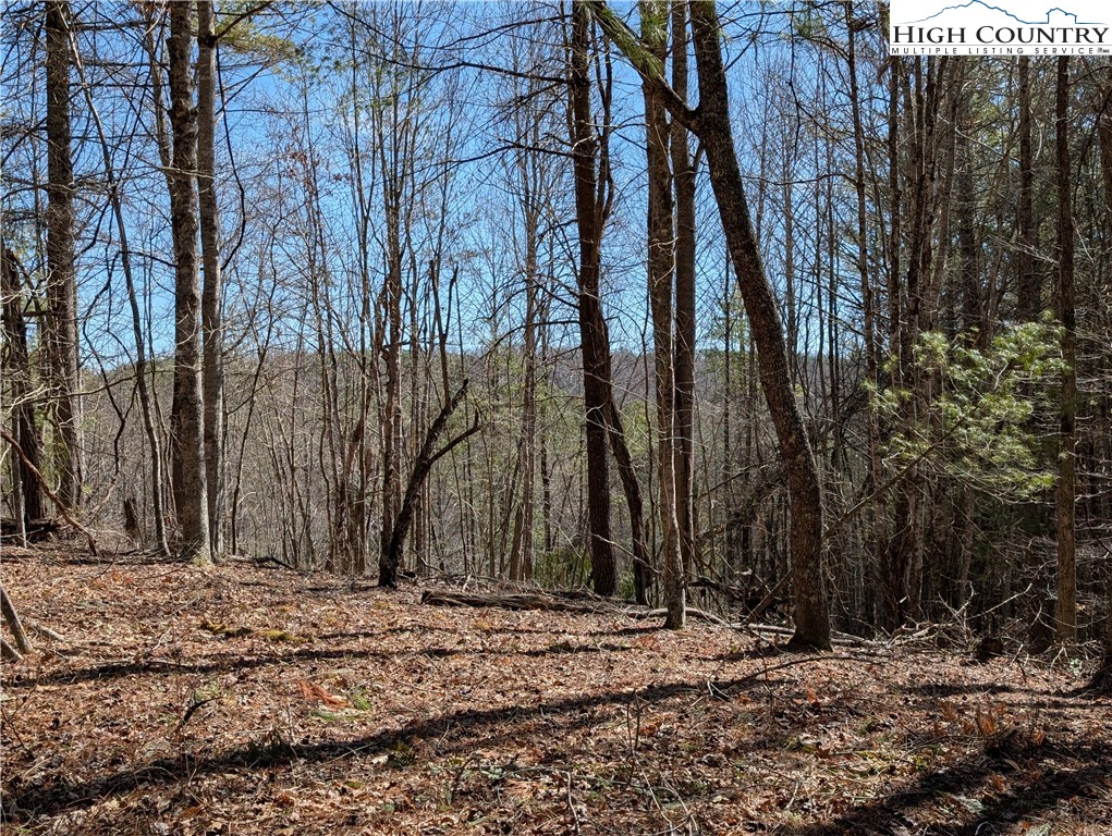 Lot 4 Running Cedar Lane Crumpler, NC 28617 - Photo 1 of 19 a view of a backyard of a house