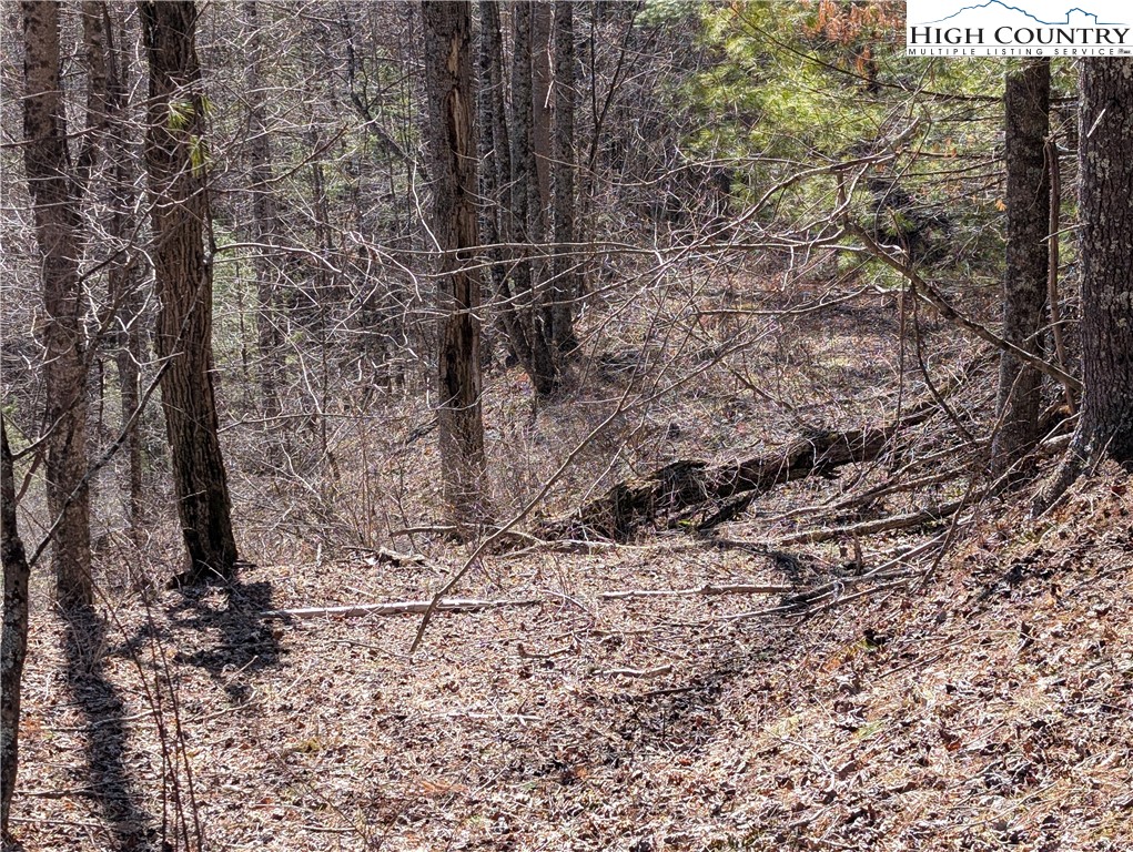 Lot 4 Running Cedar Lane Crumpler, NC 28617 - Photo 11 of 19 a view of a yard with a tree