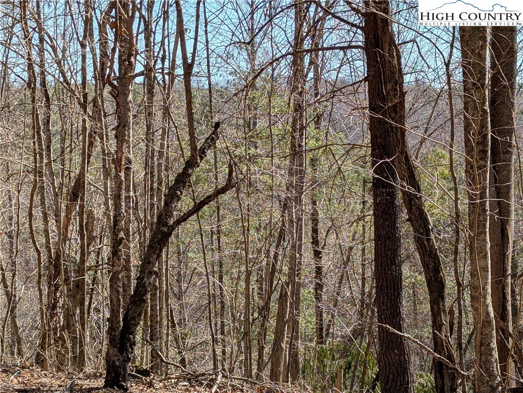 Lot 4 Running Cedar Lane Crumpler, NC 28617 - Photo 12 of 19 a view of a yard