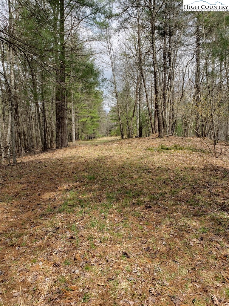 Lot 4 Running Cedar Lane Crumpler, NC 28617 - Photo 13 of 19 a view of a yard with a tree