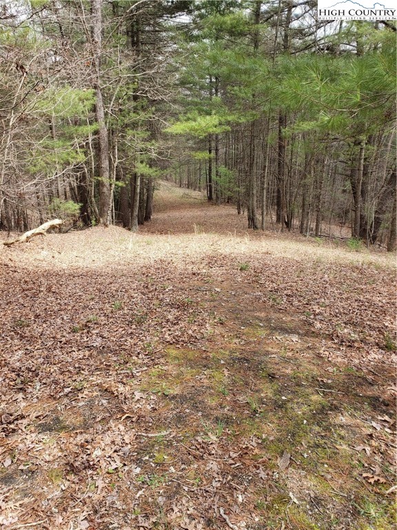 Lot 4 Running Cedar Lane Crumpler, NC 28617 - Photo 14 of 19 a view of a yard with trees