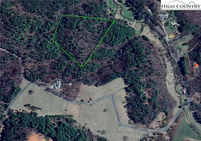 a view of a tree in a yard